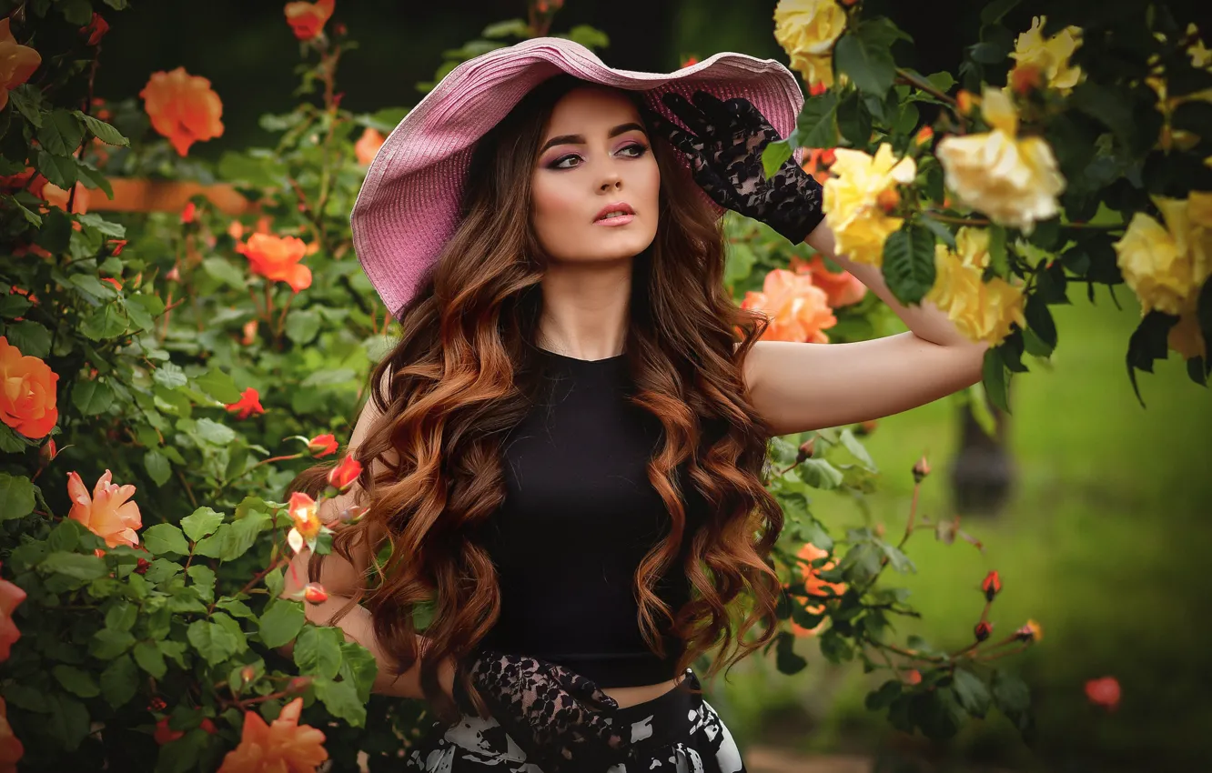 Фото обои девушка, цветы, природа, розы, шляпа, перчатки, шатенка, кусты