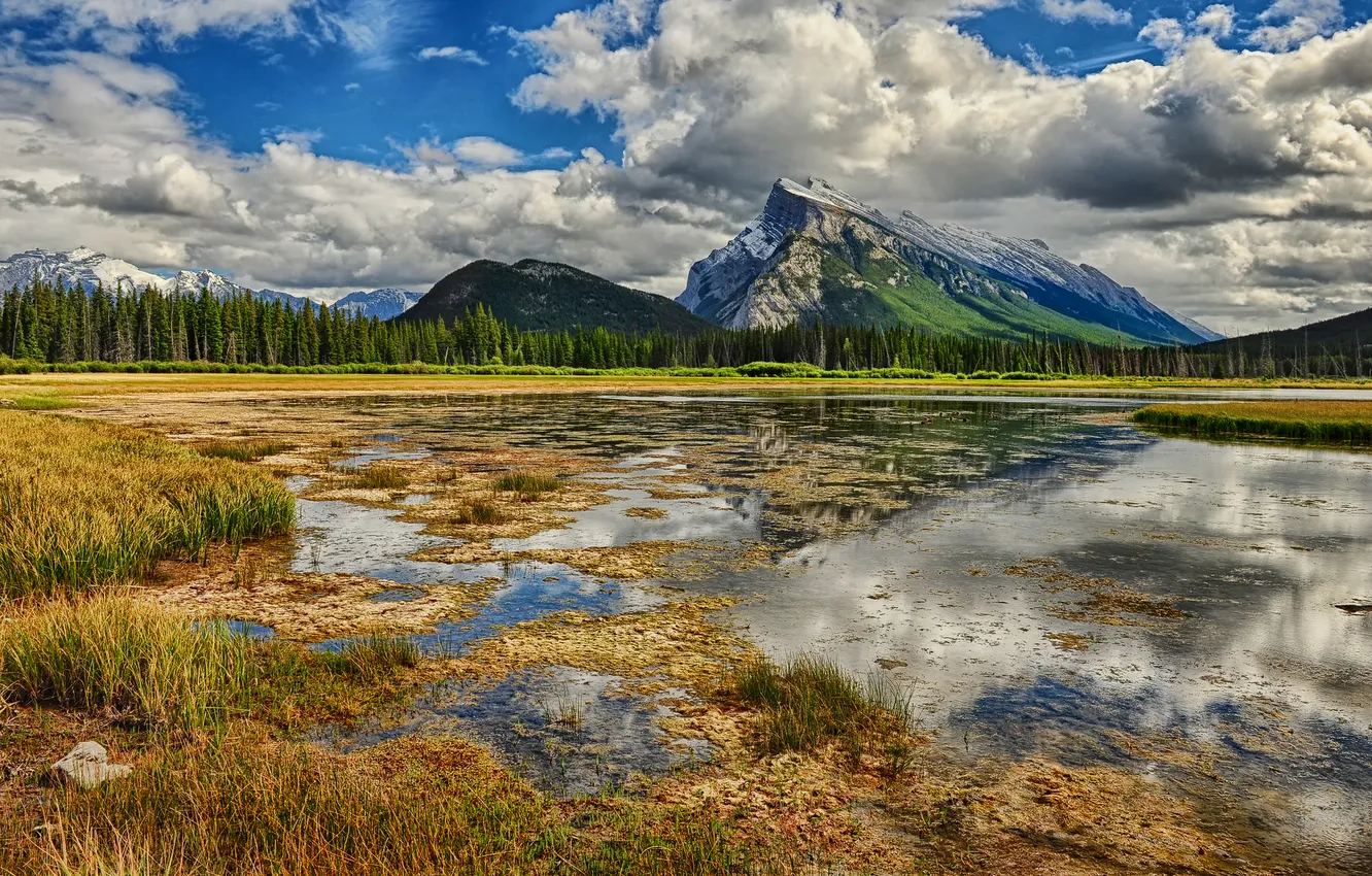 Фото обои трава, облака, горы, озеро, отражение, болото
