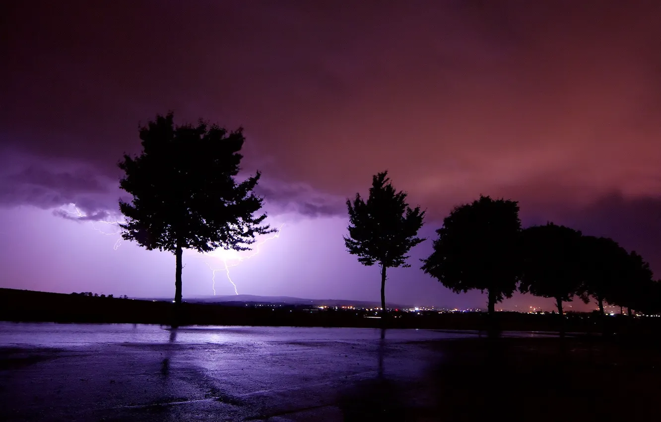 Фото обои молния, буря, Деревья