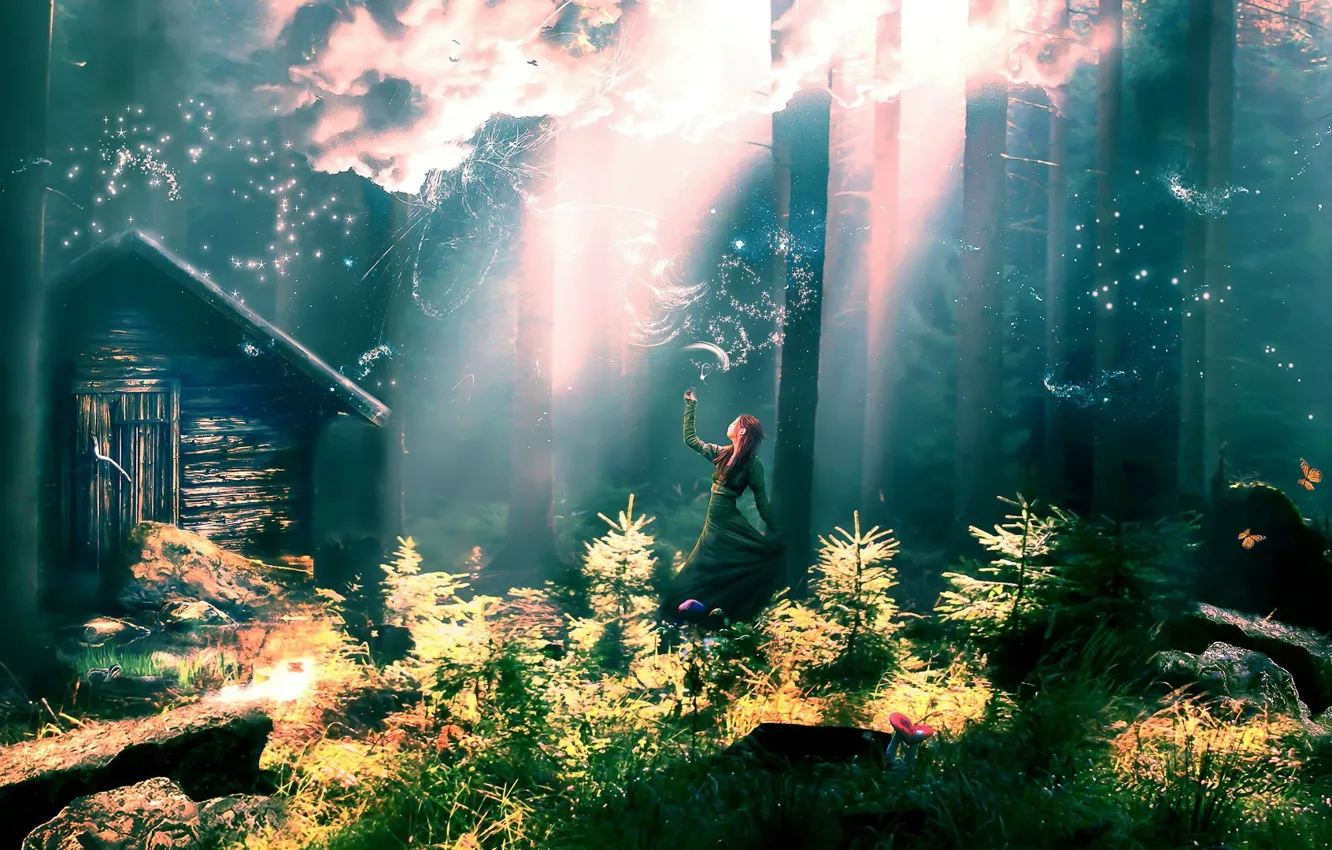 Фото обои лес, девушка, бабочки, грибы, елки, хижина