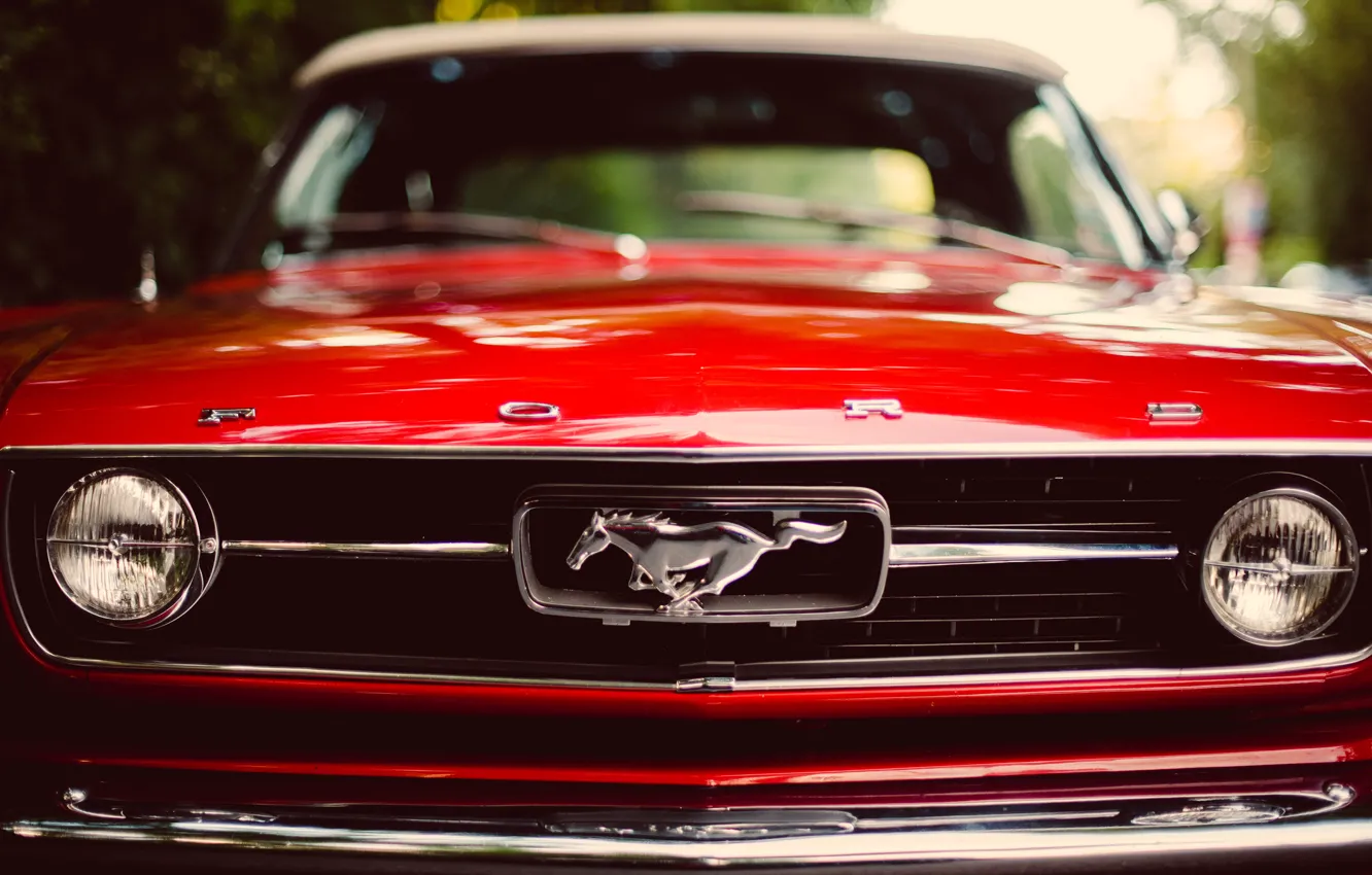 Фото обои car, mustang, ford, classic