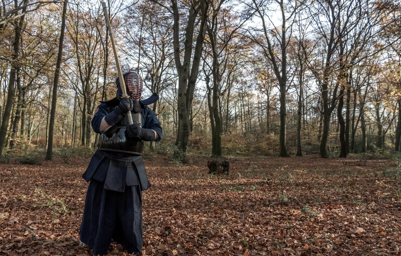 Фото обои спорт, боец, kendo