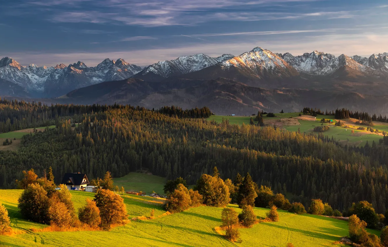Фото обои поле, лес, свет, деревья, горы, домик