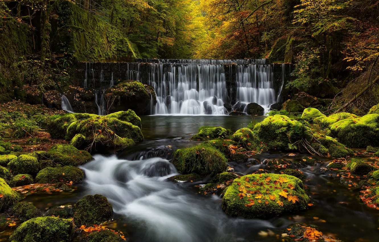 Фото обои осень, лес, скалы, водопад