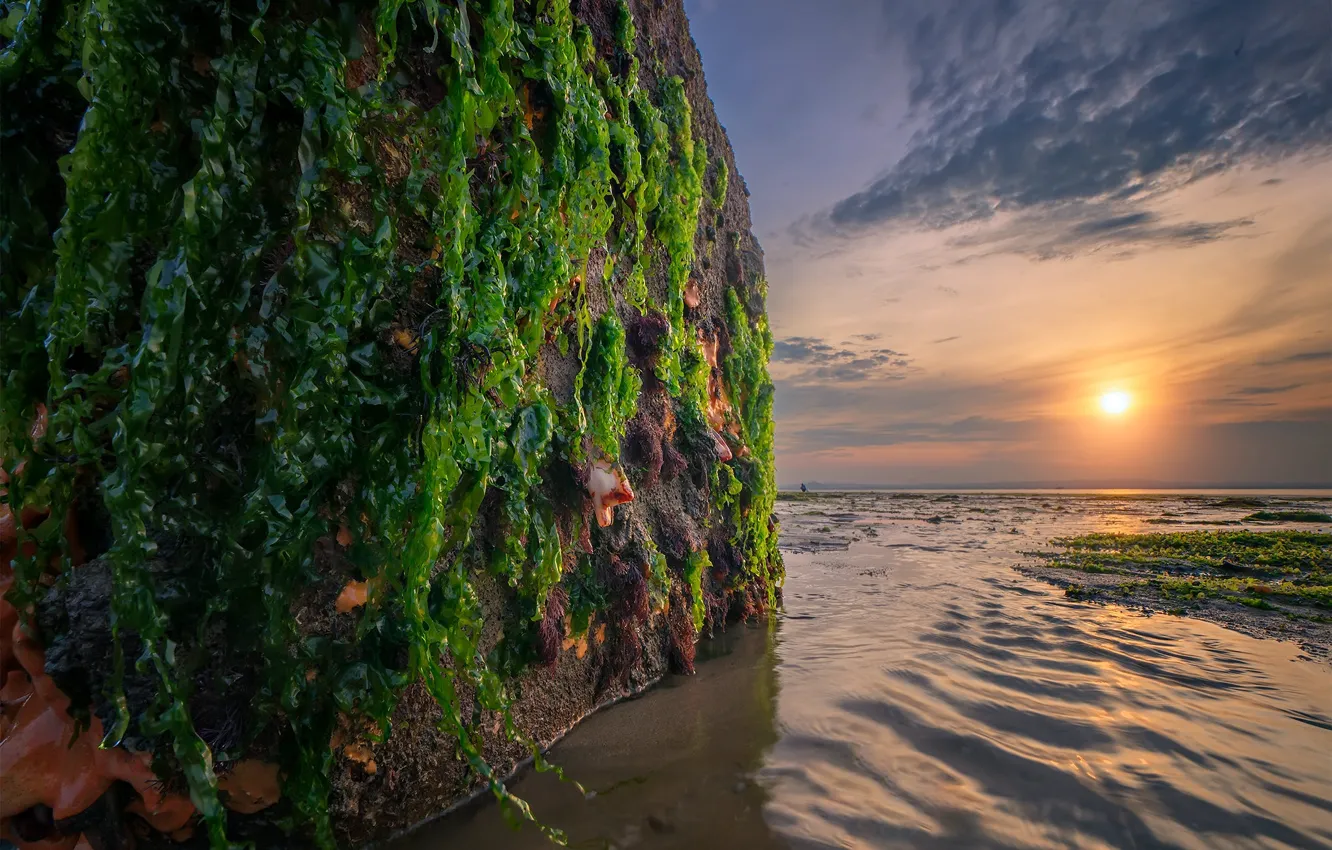 Фото обои море, закат, скала