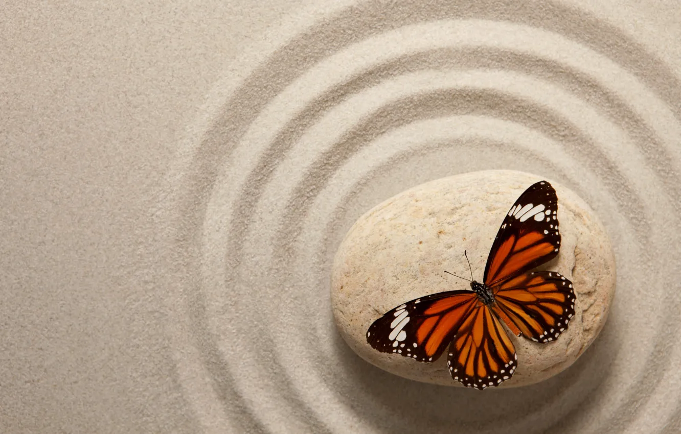 Фото обои песок, бабочка, stone, butterfly, sand, oriental, zen