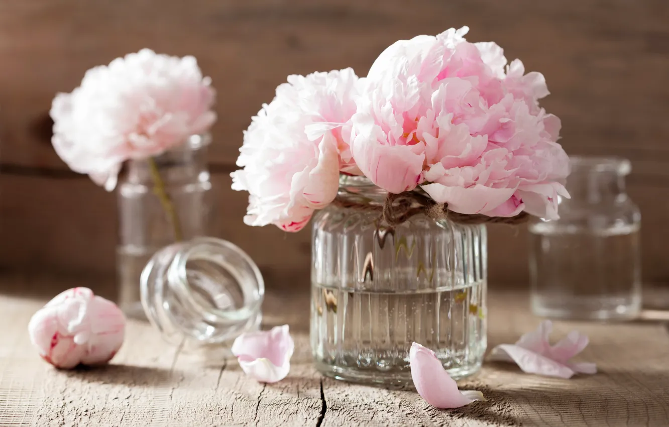 Фото обои цветы, розы, лепестки, натюрморт, розовые цветы, spa