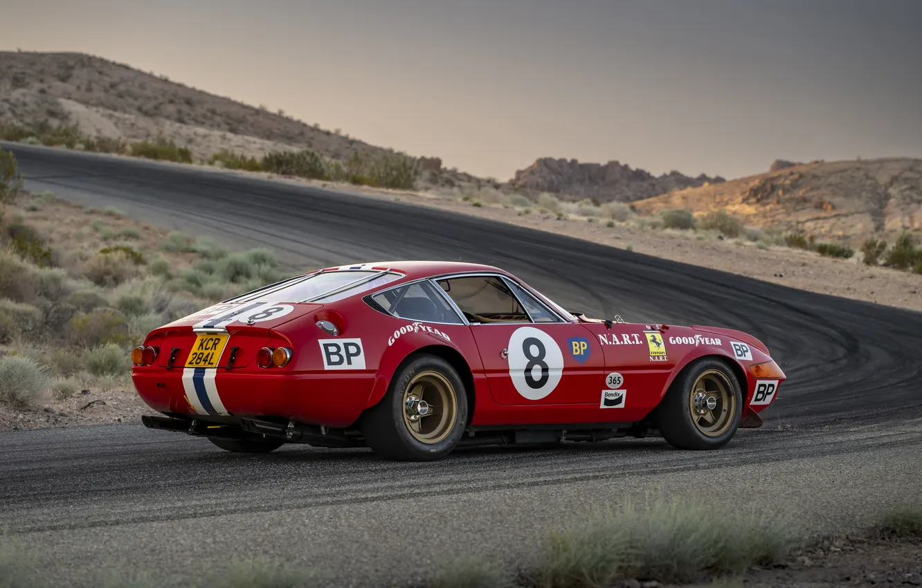 Фото обои Ferrari, суперкар, supercar, 1973, Daytona, Competizione, единственный экземпляр, the only instance