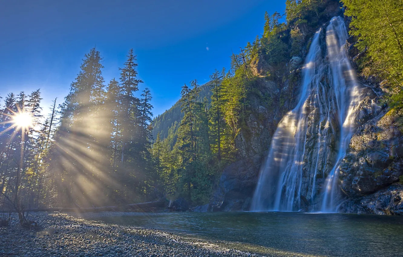 Фото обои лес, солнце, природа, река, водопад, Канада