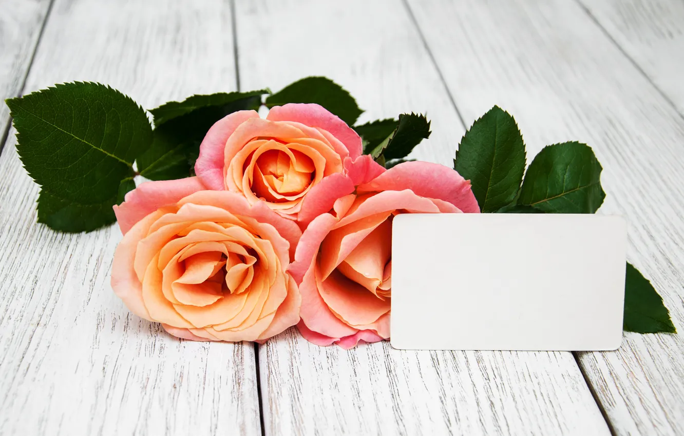 Фото обои цветы, розы, букет, розовые, wood, pink, roses