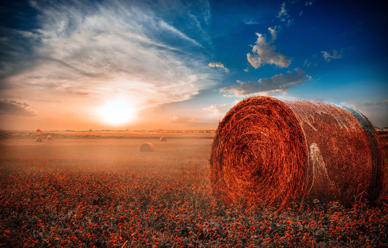 Фото обои поле, сено, рулоны, Misty Morning