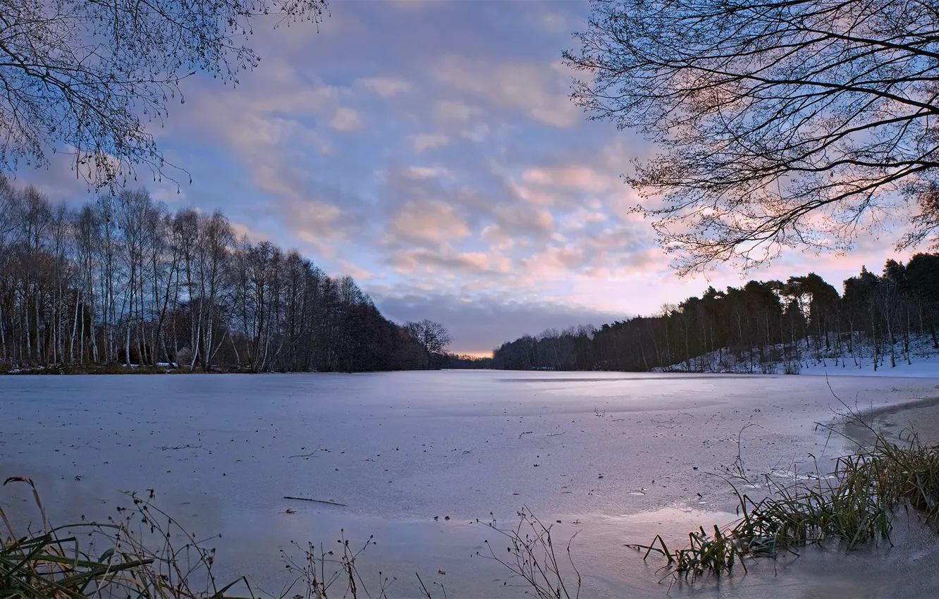 Фото обои зима, деревья, природа, река, наледь