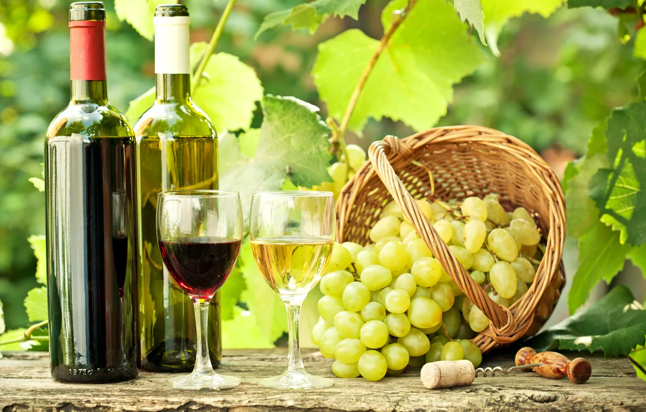 Фото обои листья, ветки, вино, красное, белое, корзина, бокалы, виноград