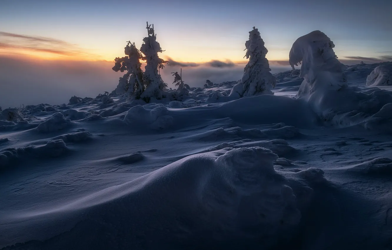 Фото обои зима, снег, ночь