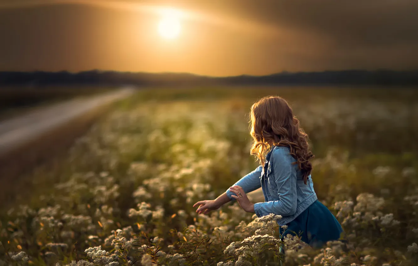 Фото обои дорога, поле, девушка, солнце, цветы