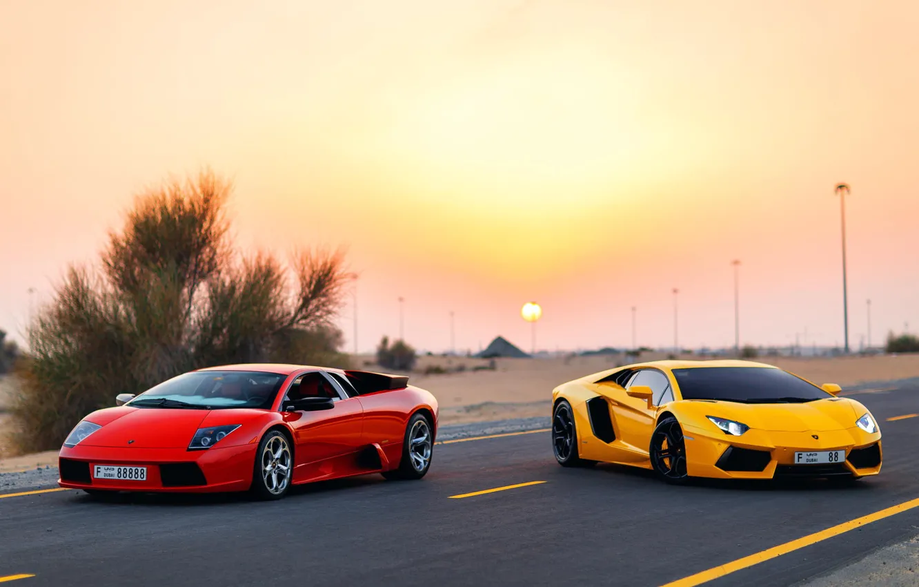 Фото обои Lamborghini, Dubai, Aventador, Murciélago