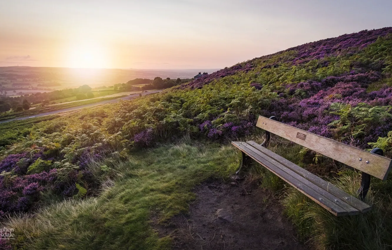 Фото обои дорога, холмы, поля, утро, скамья, Yorkshire, Sunrise on Ilkley Moor