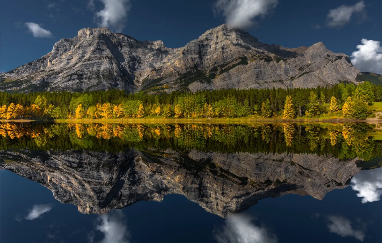 Фото обои осень, лес, горы, озеро, отражение, Канада, Альберта, Alberta