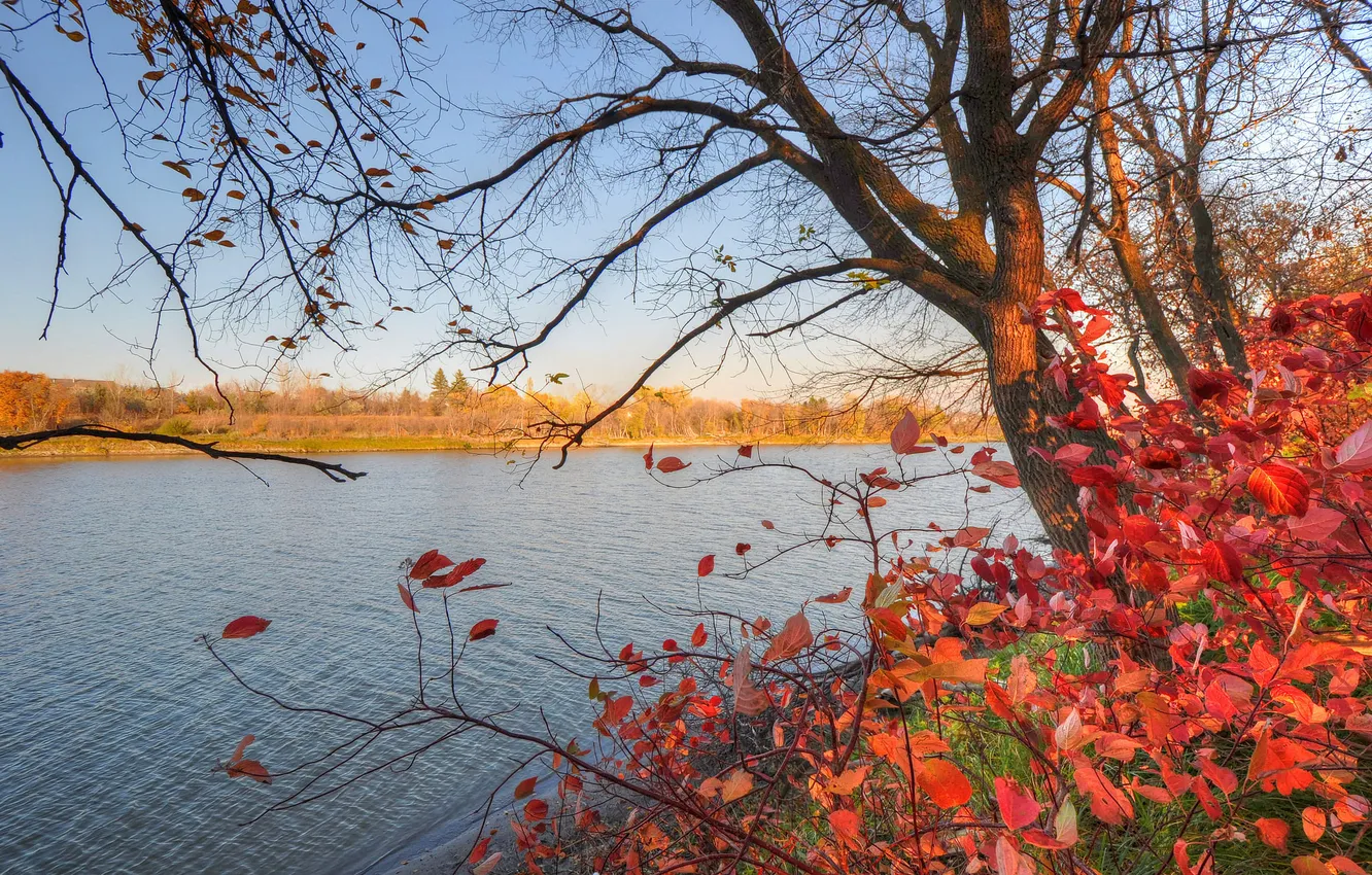 Фото обои осень, небо, листья, деревья, река