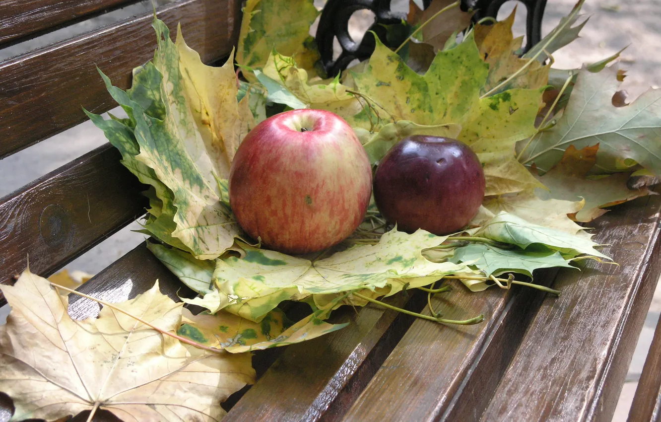 Фото обои осень, листья, яблоки, еда
