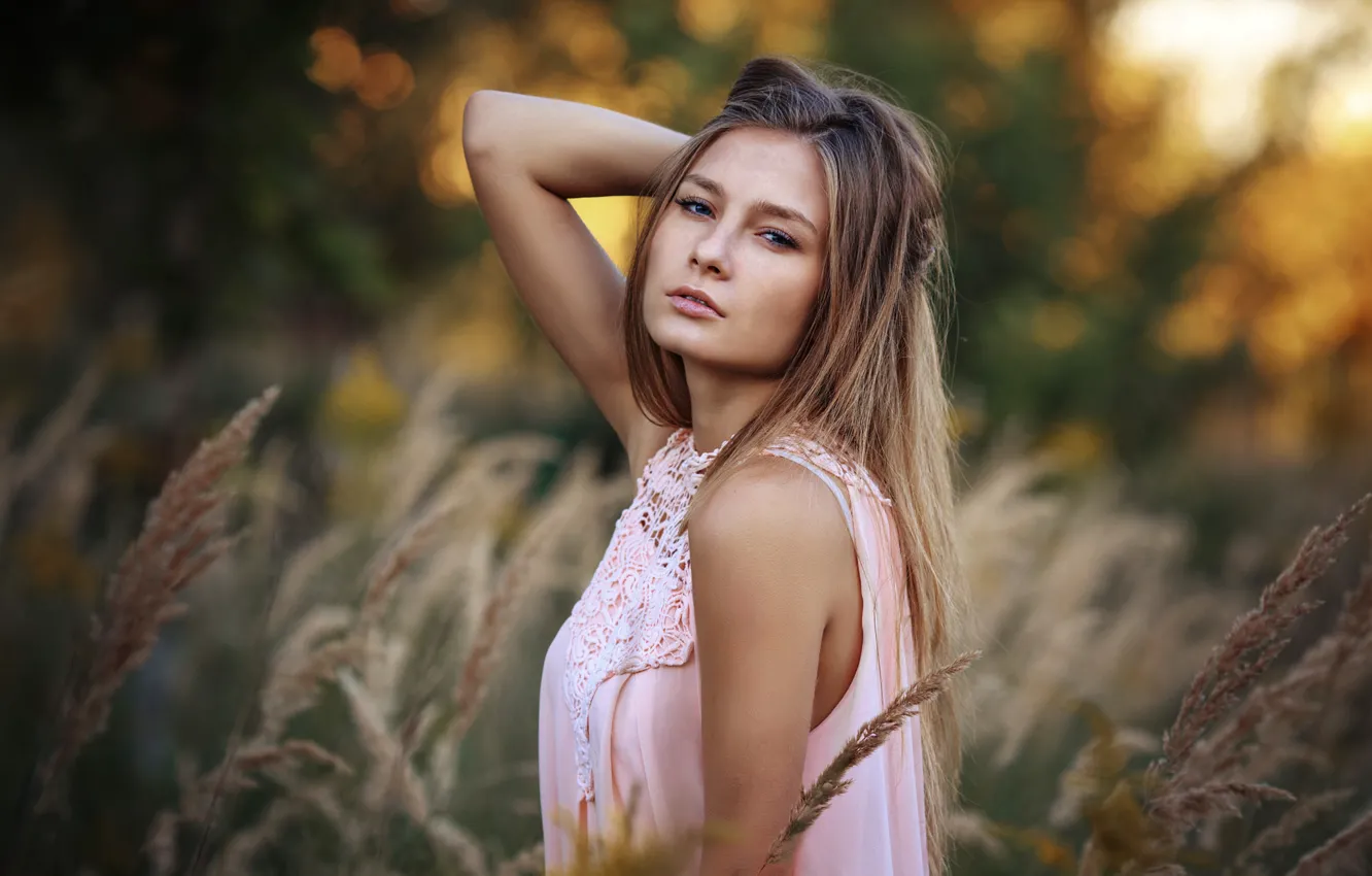 Фото обои поле, трава, взгляд, девушка, природа, лицо, милая, портрет