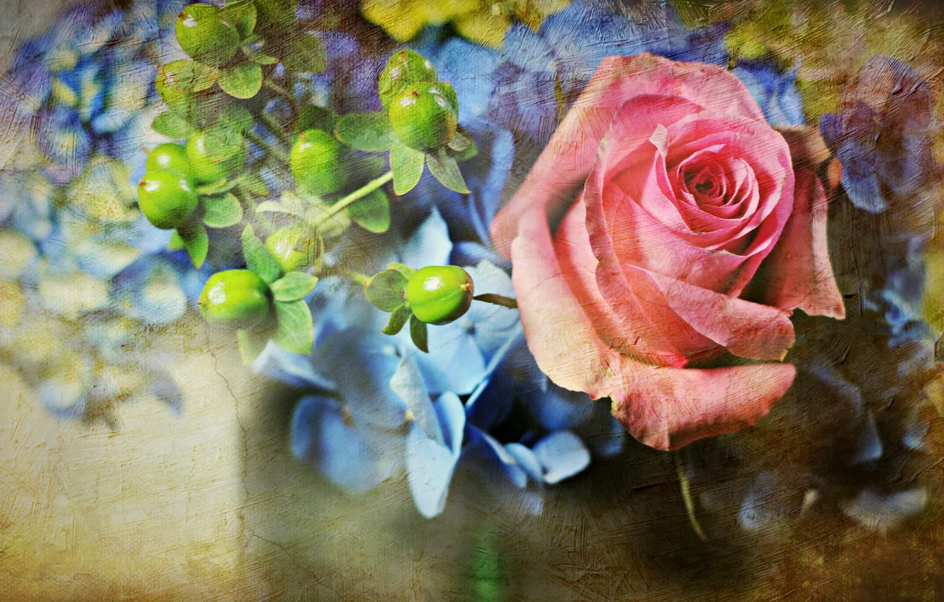 Фото обои цветы, ягоды, стена, роза