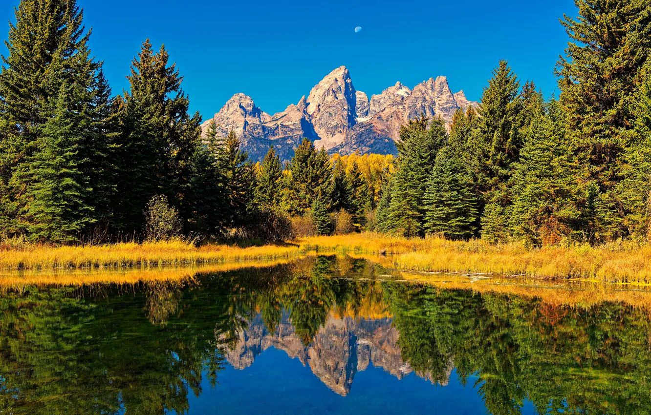 Фото обои осень, лес, горы, отражение, река, ели, Вайоминг, Wyoming