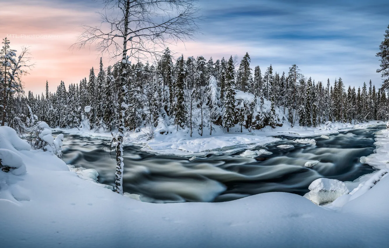 Фото обои зима, лес, снег, река, утро