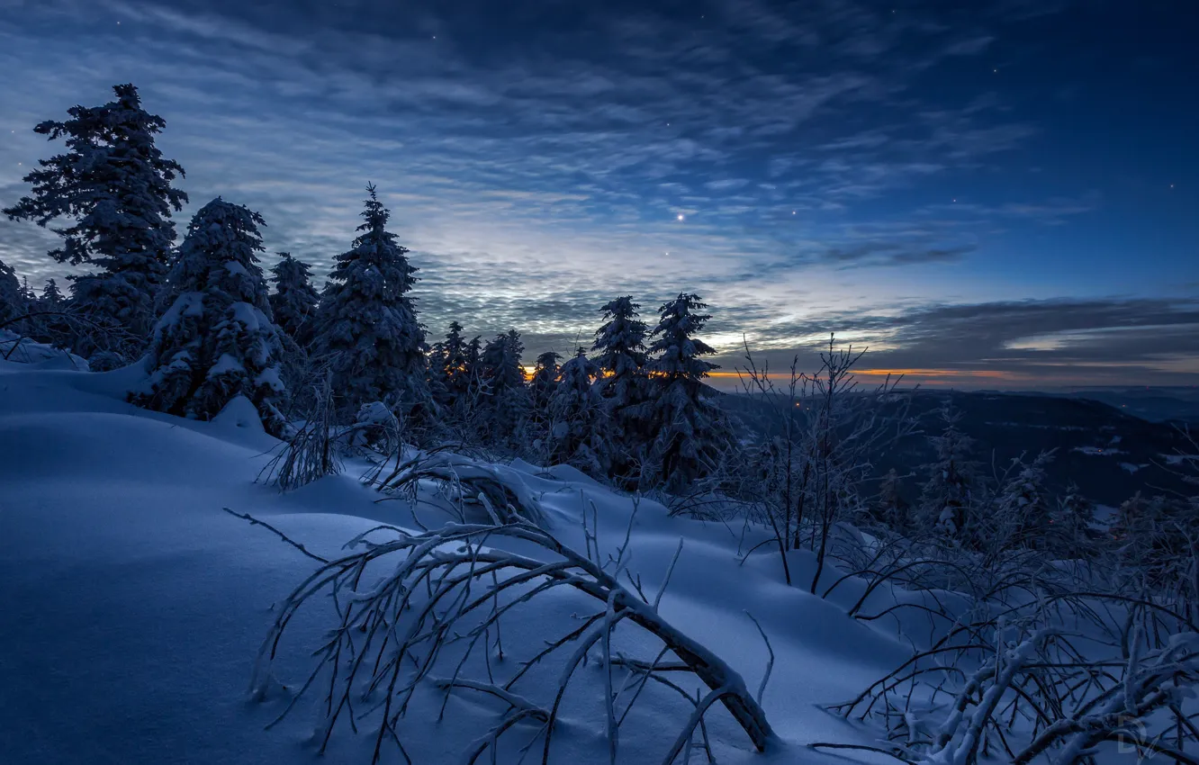 Фото обои зима, небо, снег, деревья, пейзаж, горы, ветки, природа