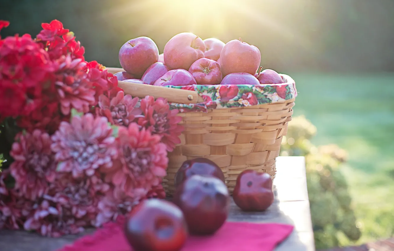Фото обои осень, свет, цветы, природа, стол, яблоки, букет, сад