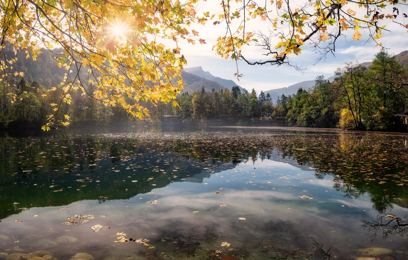 Фото обои осень, лес, солнце, лучи, пейзаж, горы, природа, озеро