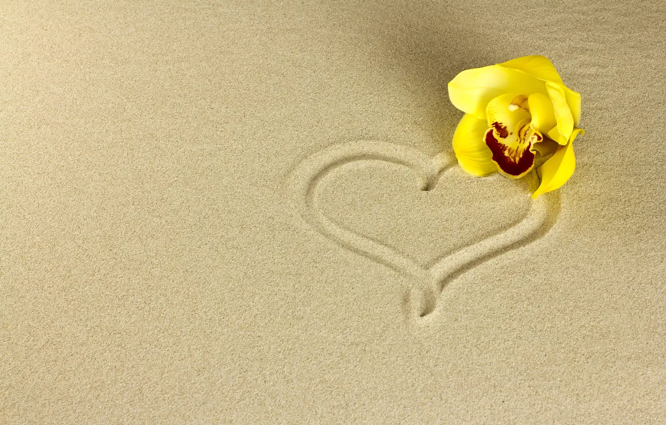 Фото обои песок, цветок, сердечко, орхидея
