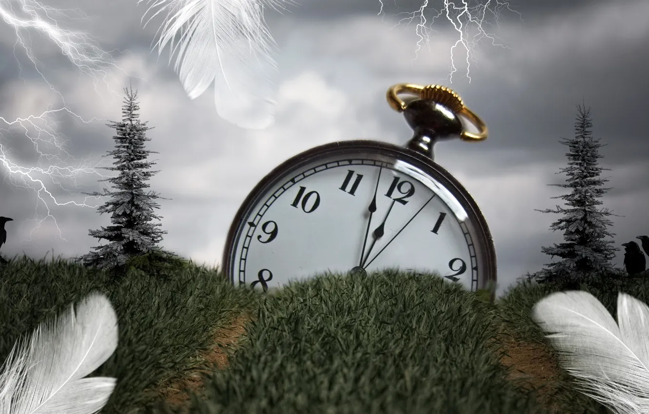Фото обои трава, время, стиль, часы, перья, монтаж
