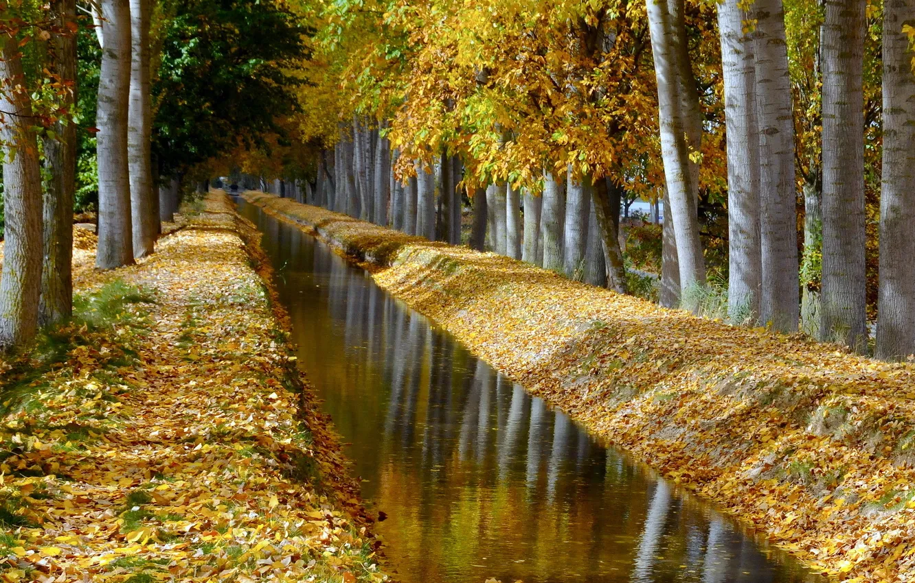 Фото обои осень, природа, канал