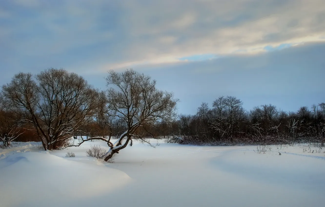 Фото обои зима, небо, снег, природа