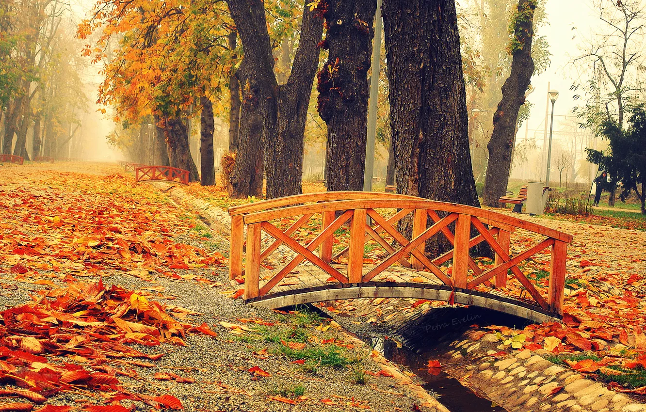 Фото обои парк, листва, Осень, мостик, bridge, park, autumn, leaves