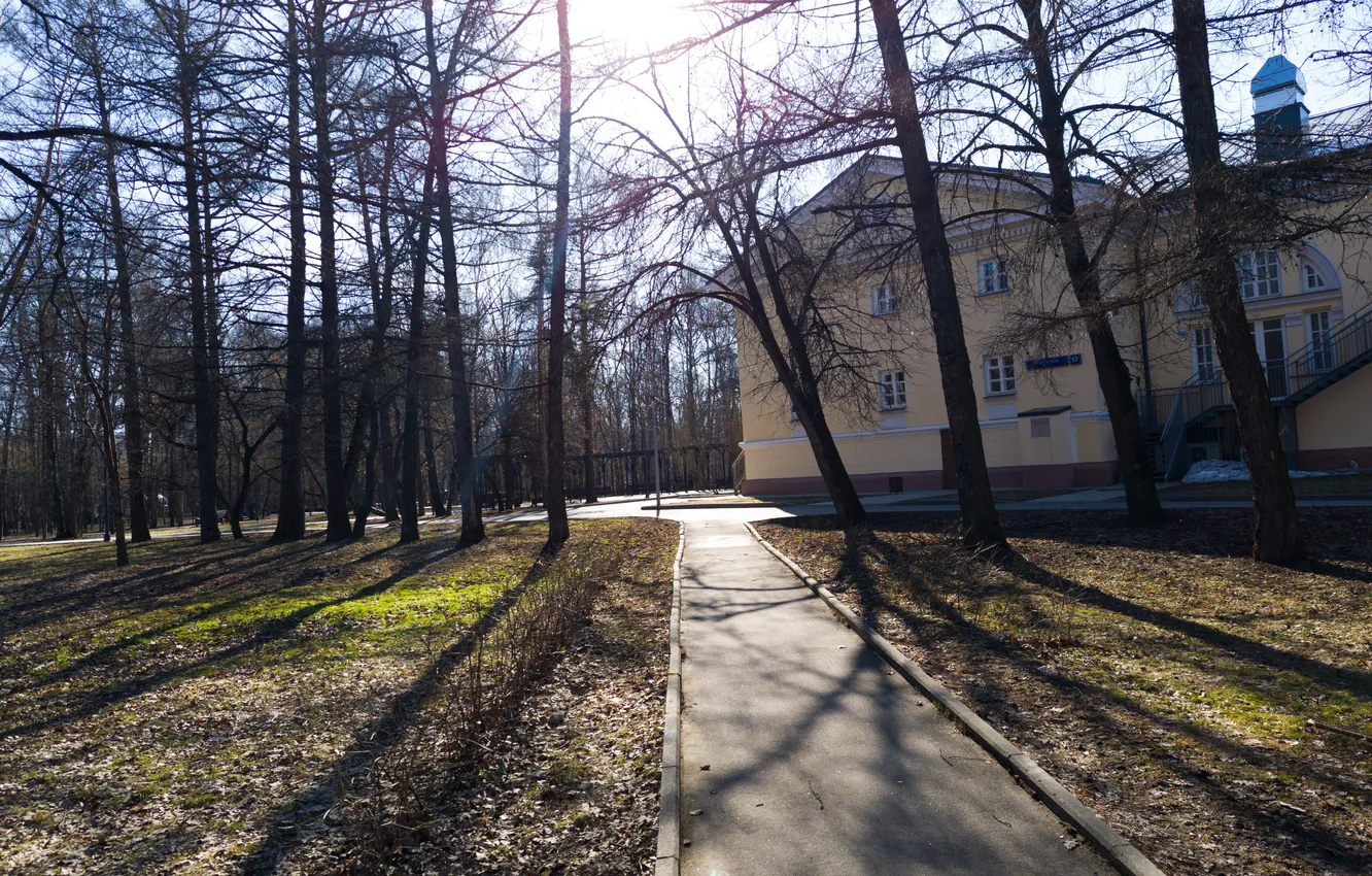 Фото обои солнце, деревья, дом, здание, весна, Россия, архитектура, тропинка