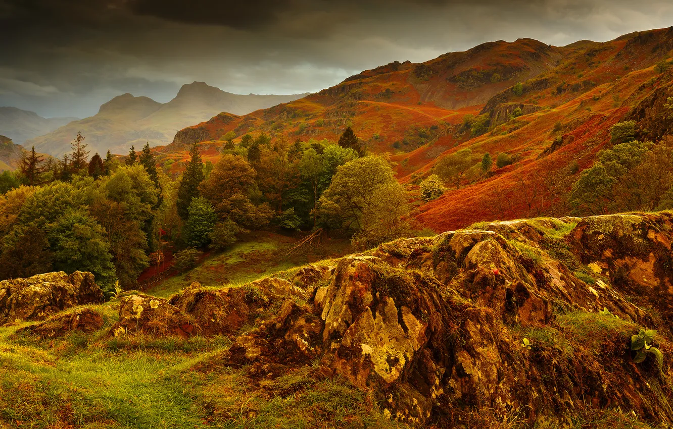 Фото обои осень, трава, горы, камни, склон
