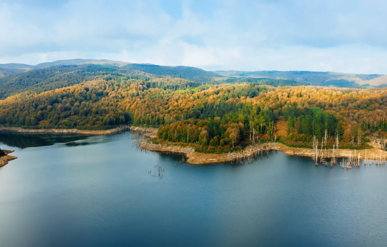 Фото обои trees, Italy, nature, lake, Sila, Calabria