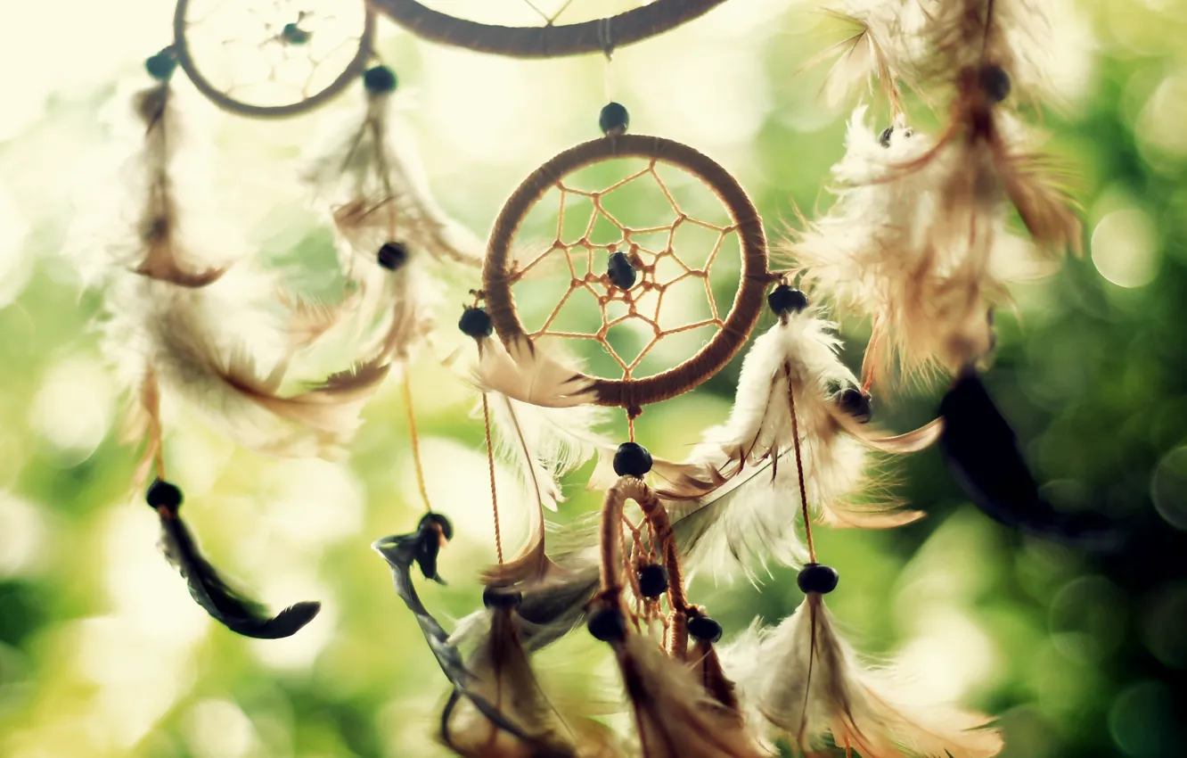 Фото обои солнце, свет, ловец снов, dreamcatcher