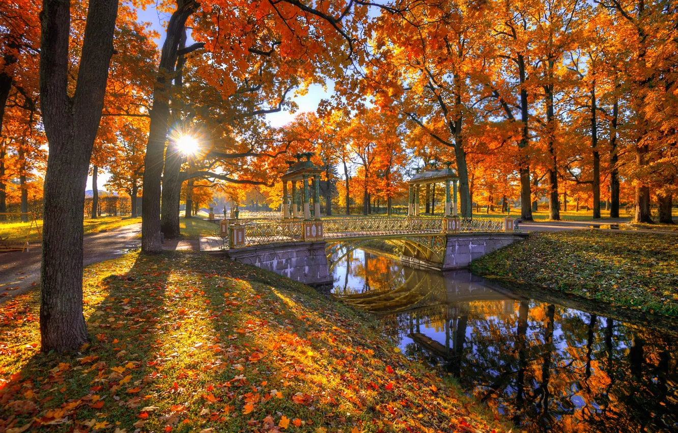 Фото обои осень, солнце, деревья, мост, парк, листва, канал, Гордеев Эдуард