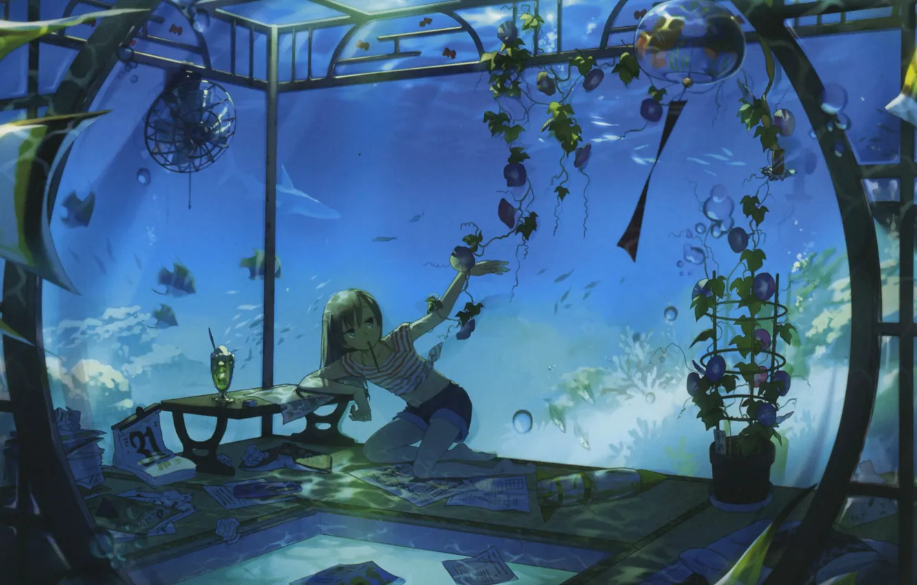 Фото обои рыбки, пузыри, комната, шорты, аквариум, растения, акула, вентилятор