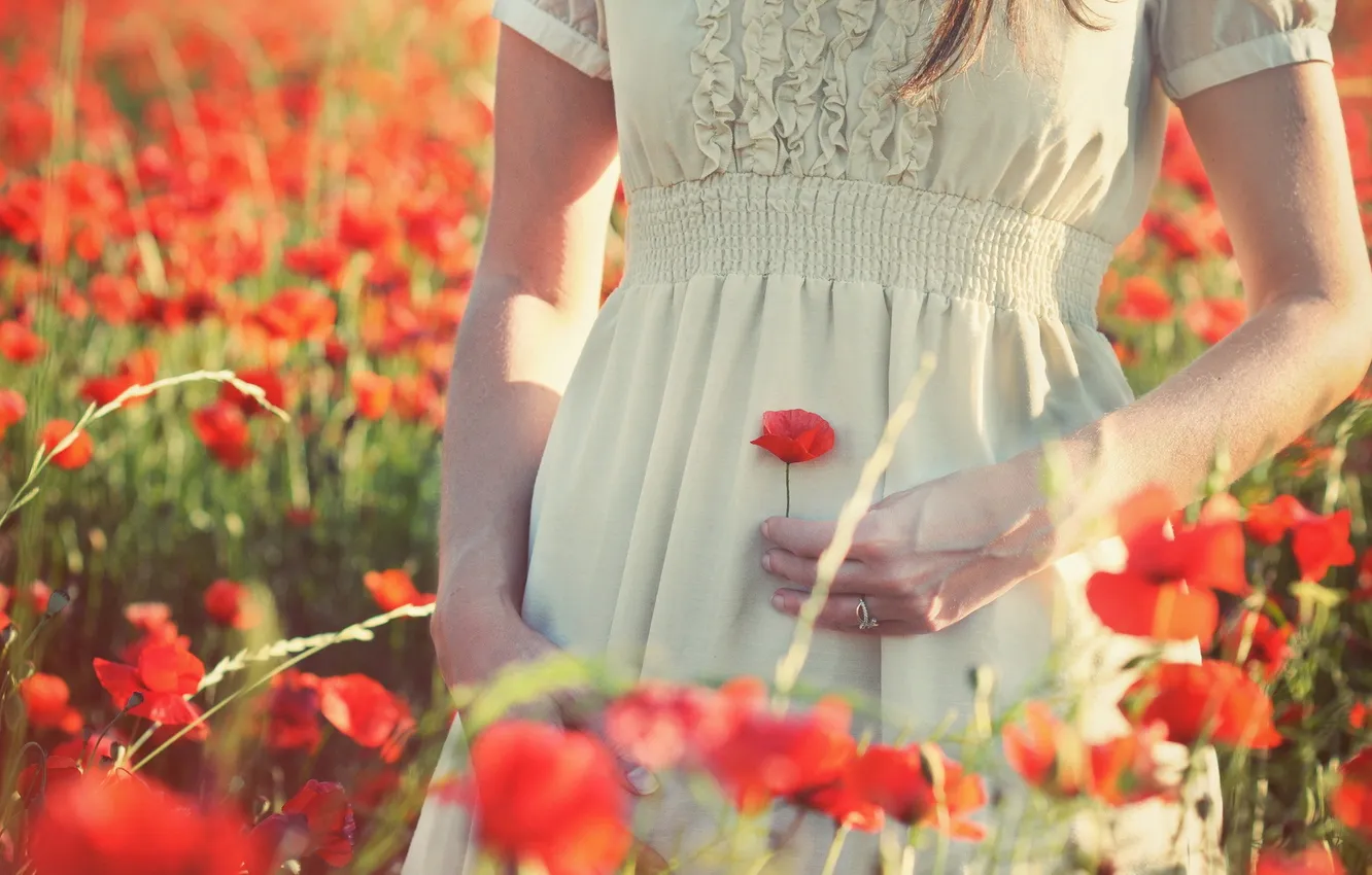 Фото обои лето, девушка, цветы