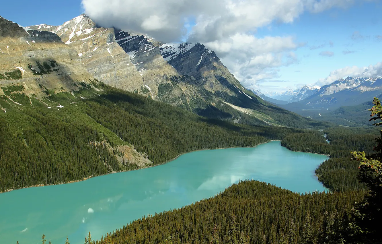 Фото обои небо, облака, озеро, Канада, Альберта, леса, Национальный парк Банф, Пейто