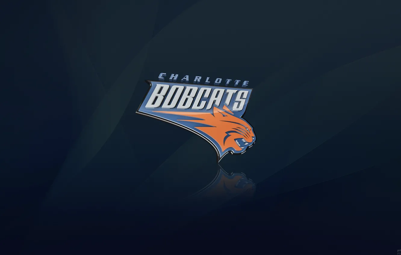 Фото обои Синий, Баскетбол, Фон, Логотип, NBA, Коты, Charlotte Bobcats, Шарлотт