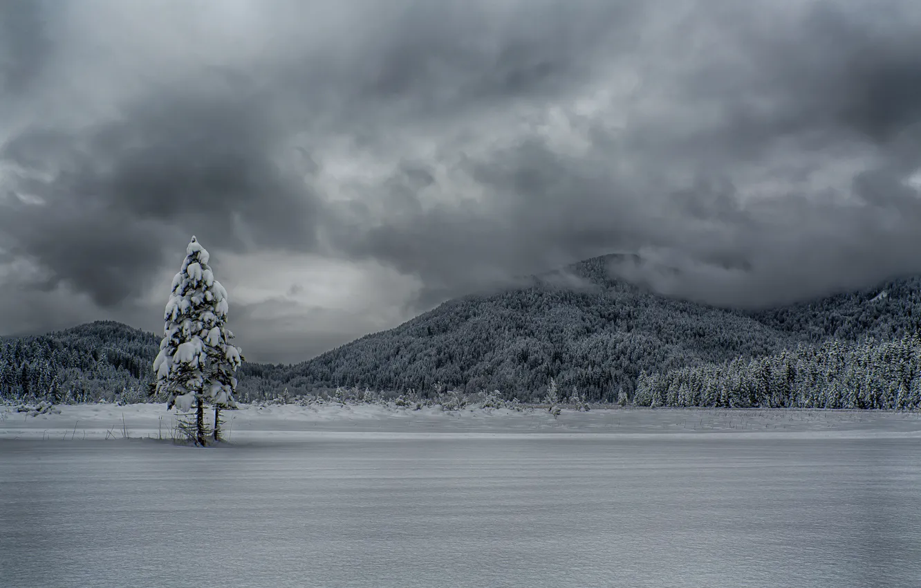 Фото обои зима, небо, облака, горы, озеро, дерево