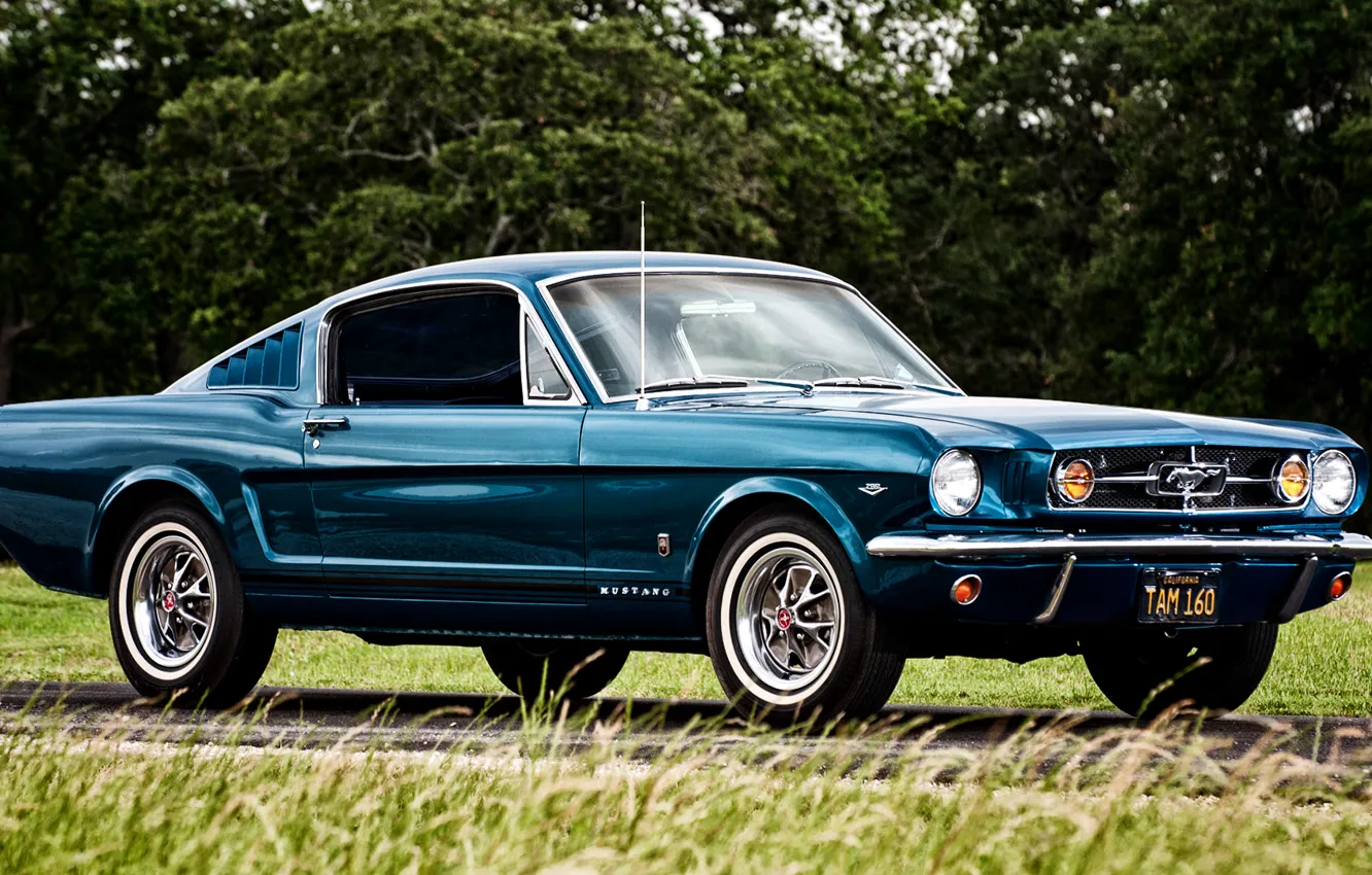 Фото обои Mustang, Ford, мустанг, форд, 1965, Fastback