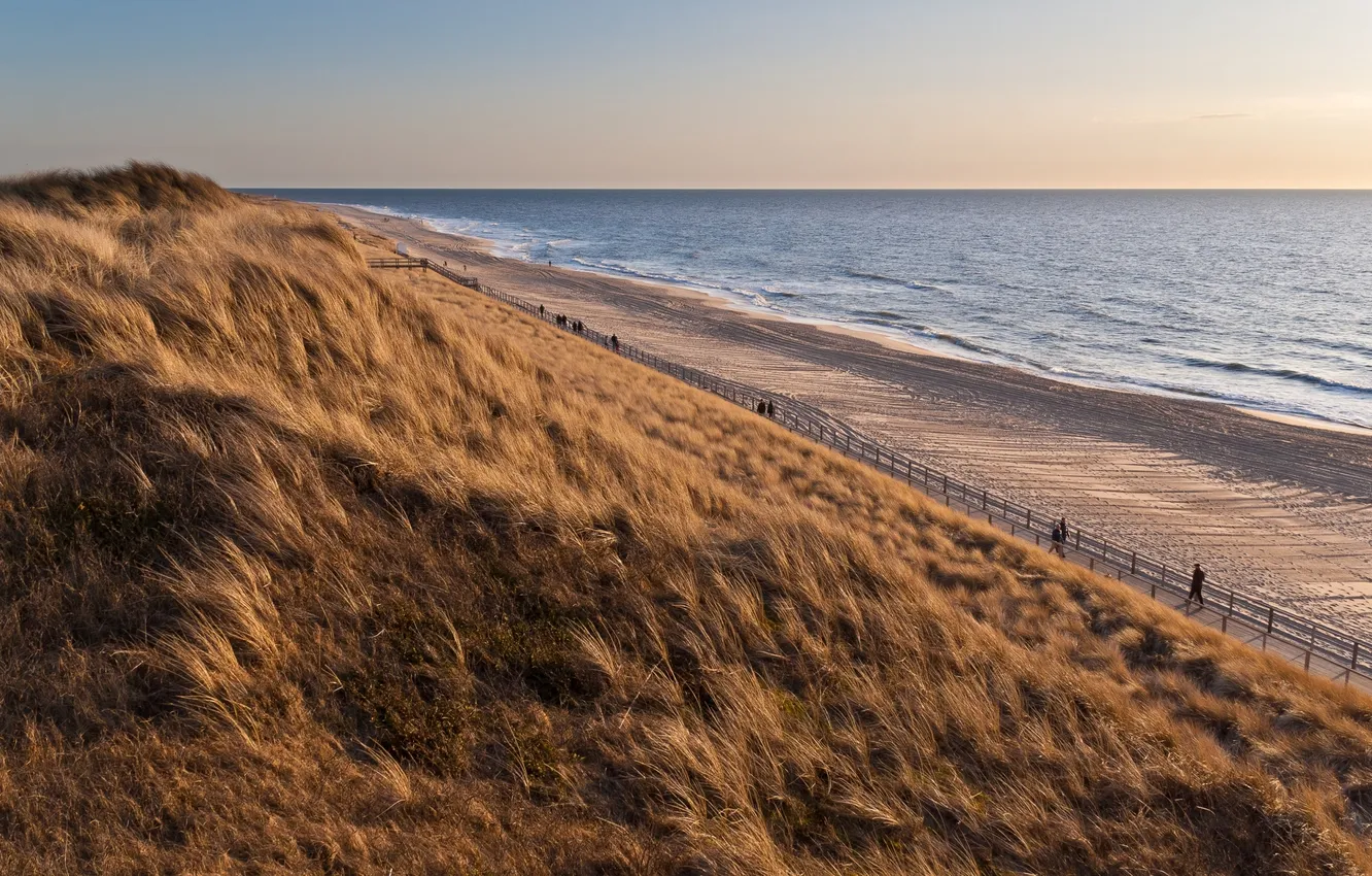 Фото обои песок, море, волны, пляж, лето, трава, закат, фон