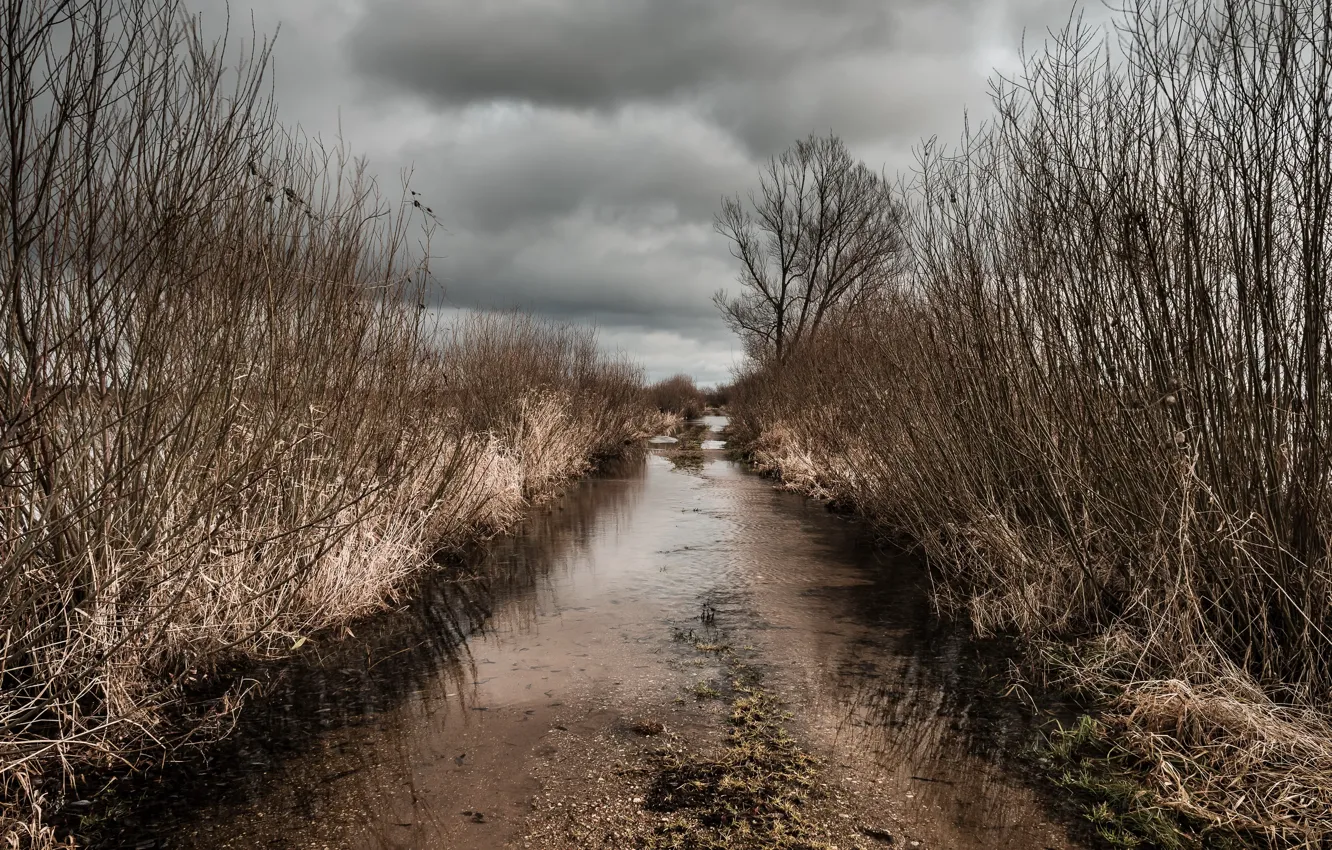 Фото обои дорога, природа, лужа