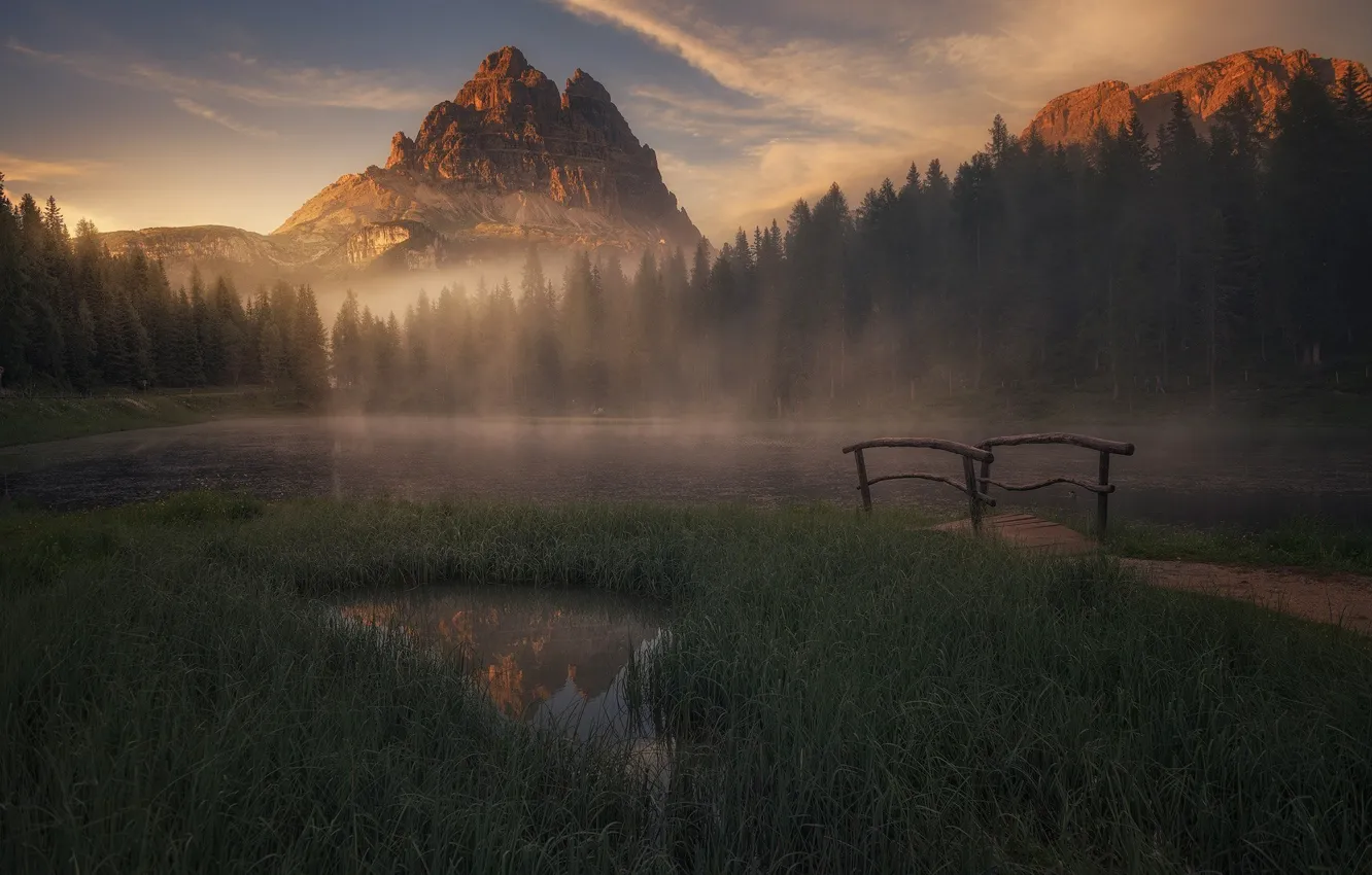 Фото обои лес, трава, горы, туман, озеро, берег, утро, мостик